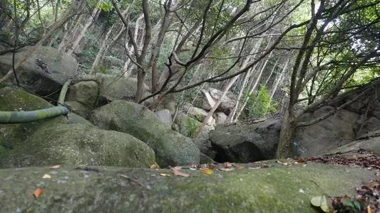 无锡到白山物流专线_无锡至白山货运公司