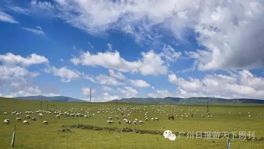 无锡到海西物流专线_无锡至海西货运公司