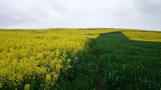 无锡到汉中物流专线_无锡至汉中货运公司