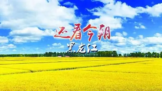 无锡到黑龙江物流专线_无锡至黑龙江货运公司