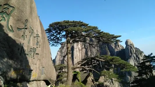 无锡到黄山物流专线_无锡至黄山货运公司