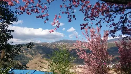 无锡到临沧物流专线_无锡至临沧货运公司