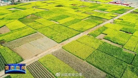 无锡到陇南物流专线_无锡至陇南货运公司