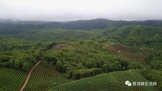 无锡到普洱物流专线_无锡至普洱货运公司