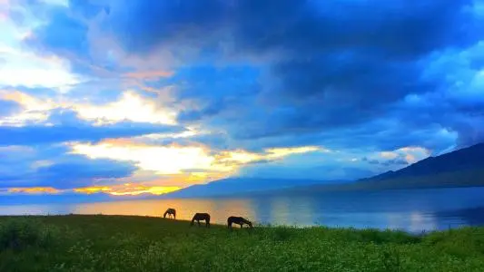 无锡到青海物流专线_无锡至青海货运公司