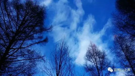 无锡到双鸭山物流专线_无锡至双鸭山货运公司