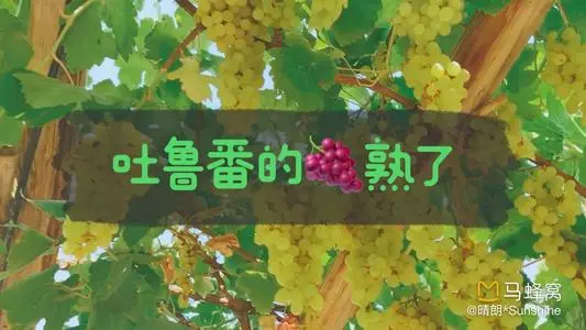 无锡到吐鲁番物流专线_无锡至吐鲁番货运公司