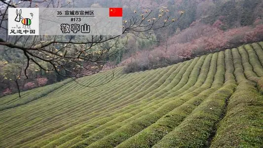 无锡到宣城物流专线_无锡至宣城货运公司