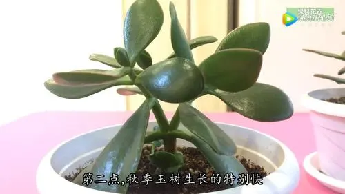 无锡到玉树物流专线_无锡至玉树货运公司